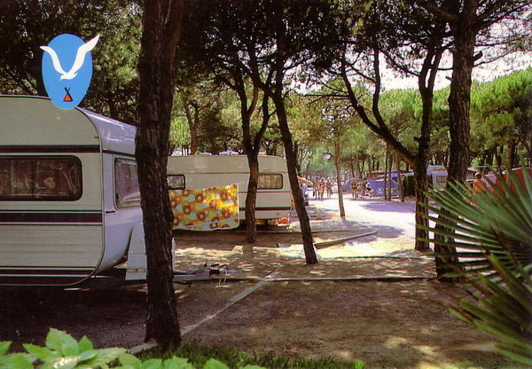 Interior del càmping Albatros de Gavà Mar (1984)